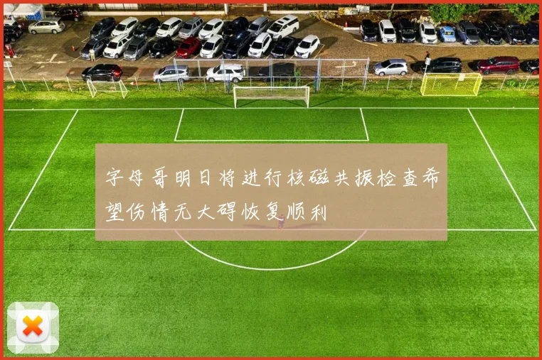 字母哥明日将进行核磁共振检查希望伤情无大碍恢复顺利